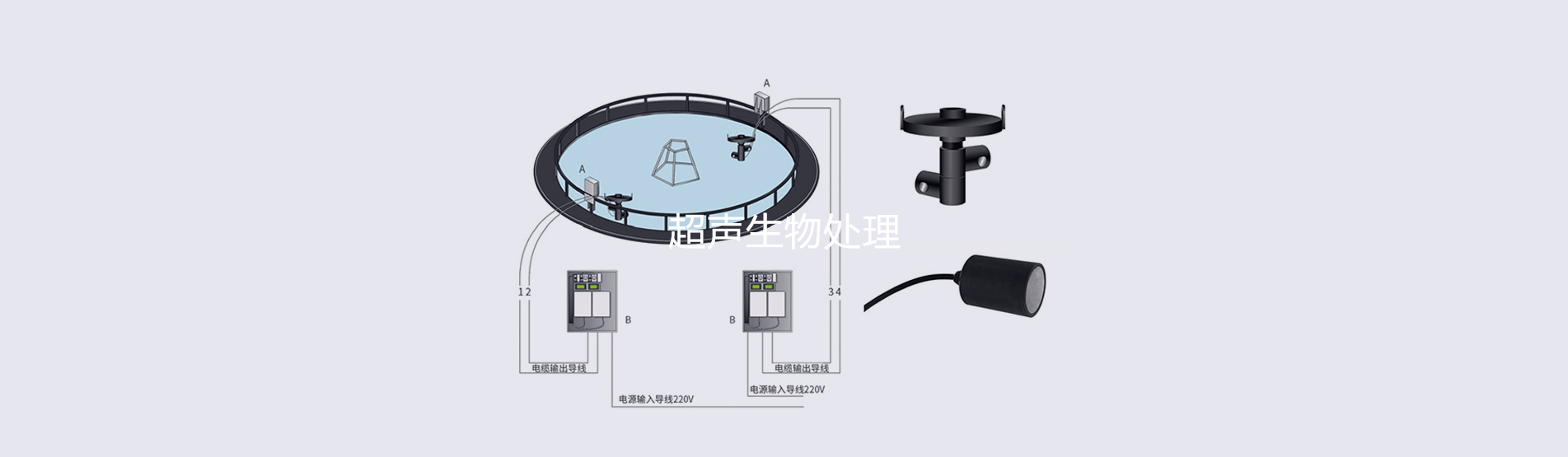 超聲生物提取